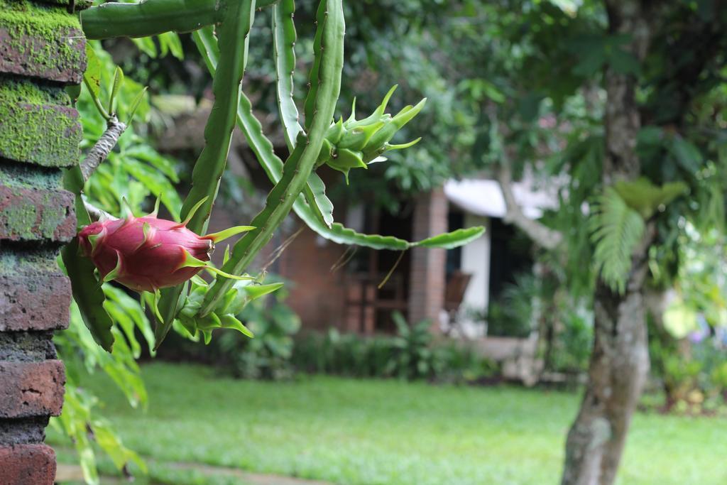 Timbis Homestay Bali Nusa Dua  Buitenkant foto